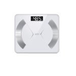 Sanford Personal Scale - SF1524FPS