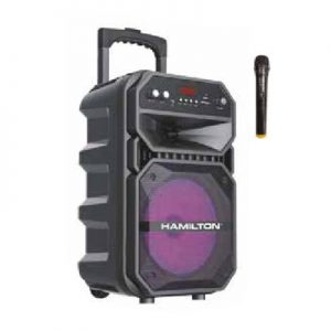 Hamilton 8 System Speaker