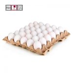 Egg tray 30pcs – Qatar